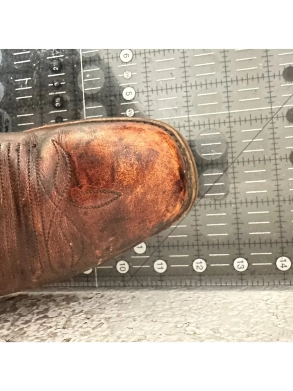 dingo size 12